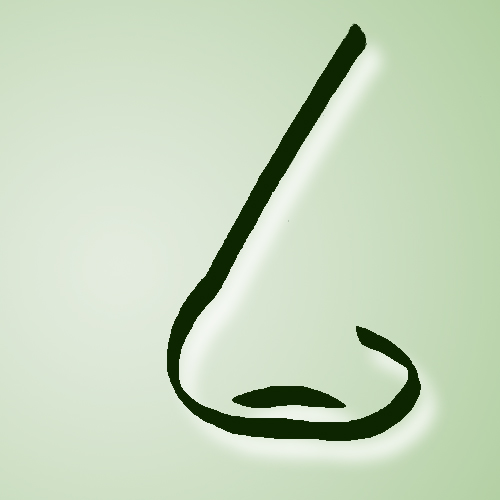 Logo_Nase.jpg